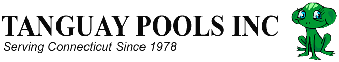 Chameleon Logo